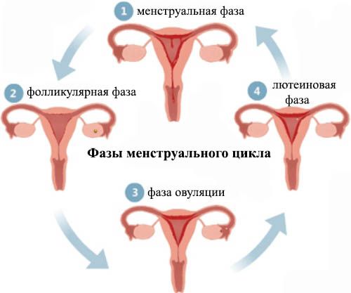 Нарушение менструального цикла: лечение